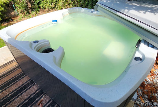 One Time Spa Service