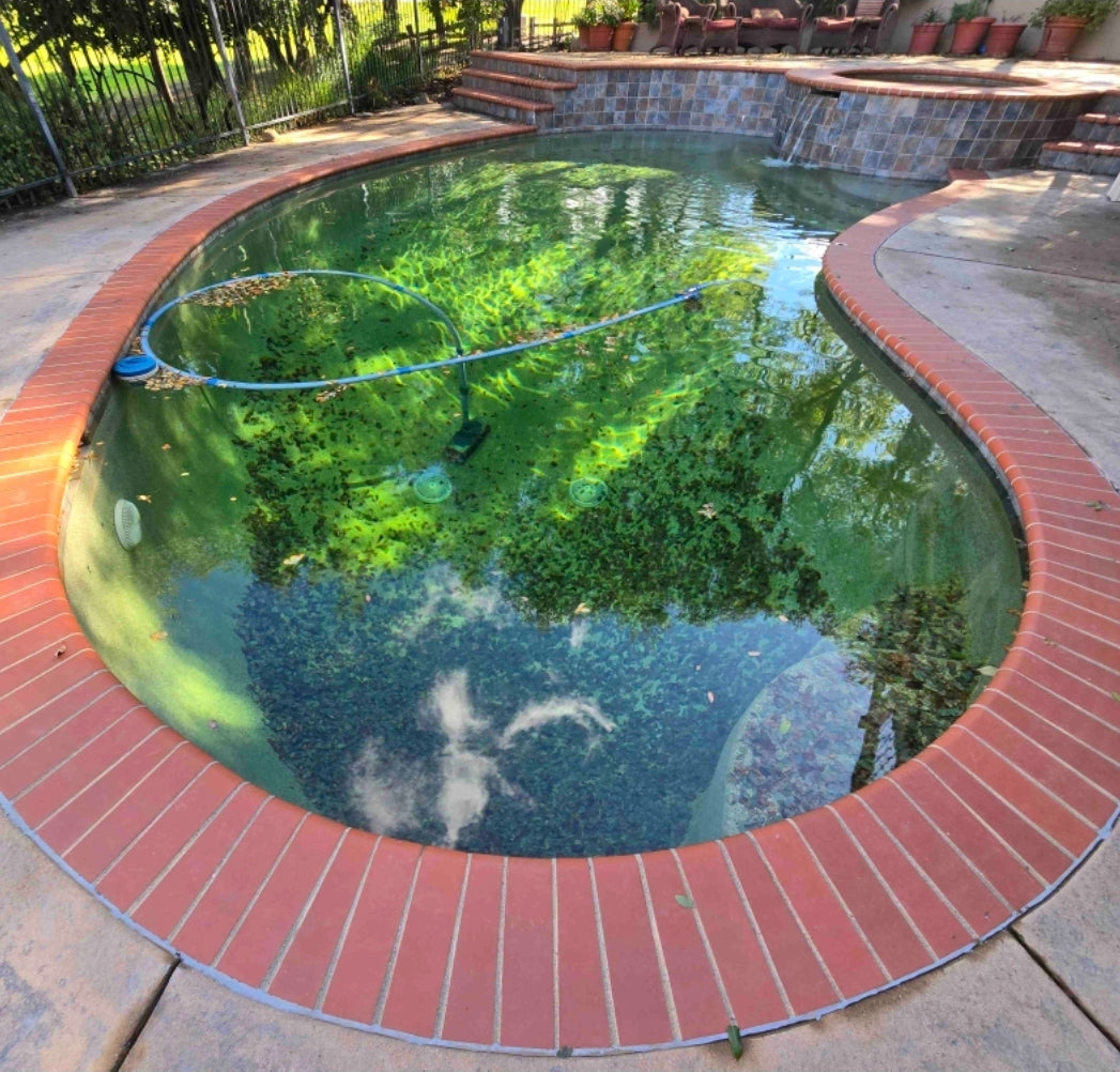 One-Time Pool Service & Balance