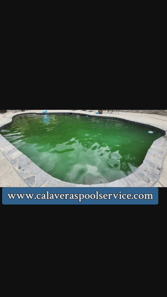 Green2Clean Treatment