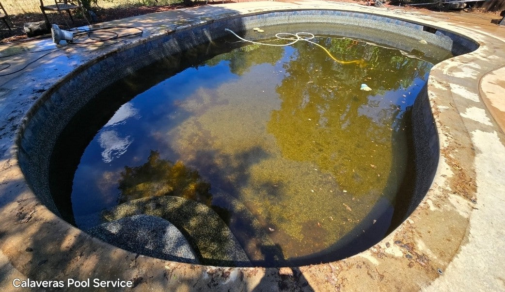 Complete Full Drain, Chemically Treat & Wash Treatment