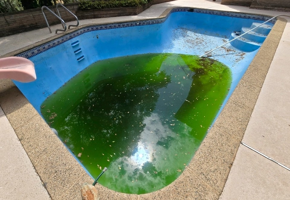 Complete Full Drain, Chemically Treat & Wash Treatment