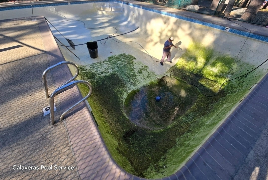 Complete Full Drain, Chemically Treat & Wash Treatment