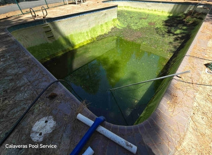 Complete Full Drain, Chemically Treat & Wash Treatment