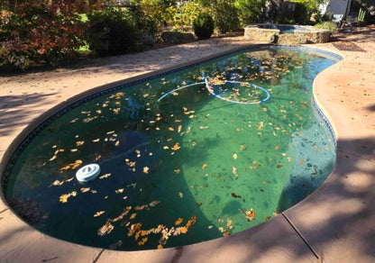 One-Time Pool Service & Balance