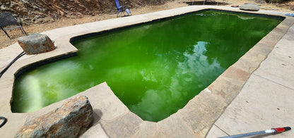 Green2Clean Treatment