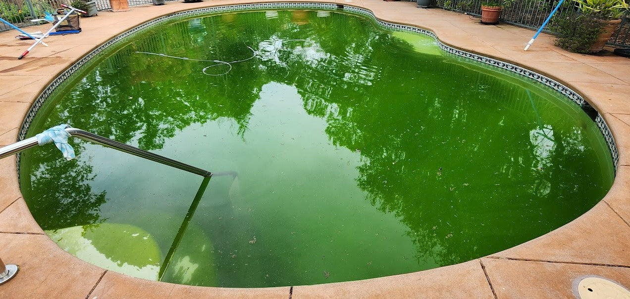 Green2Clean Treatment