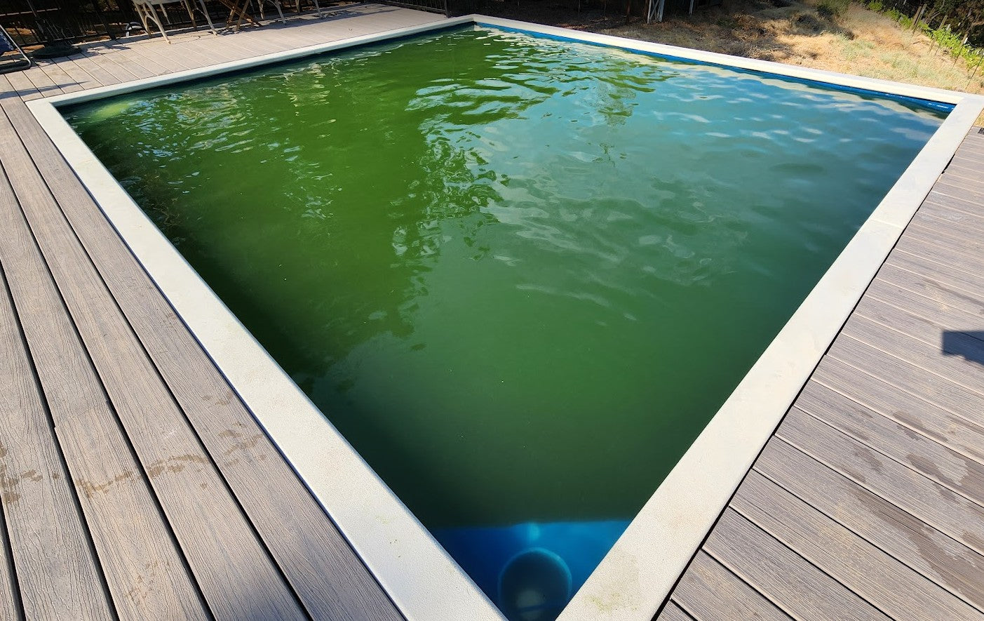 Green2Clean Treatment